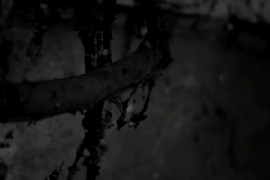 Prostory z filmu Untitled Project